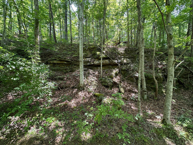 Listing Image 119