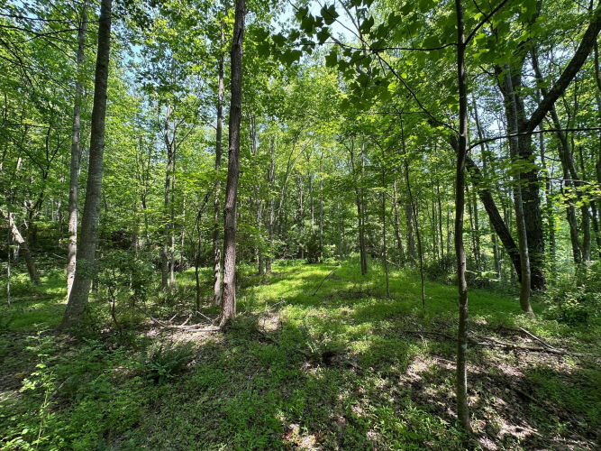 Listing Image 120