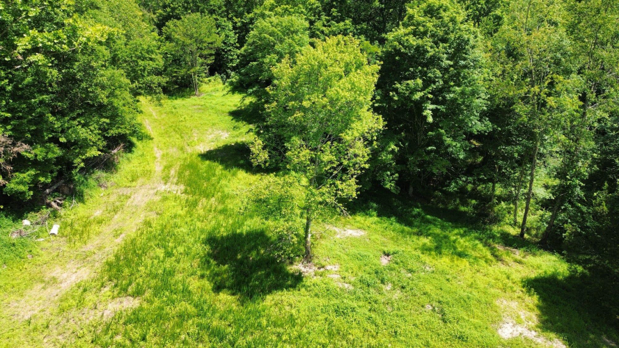 Listing Image 13
