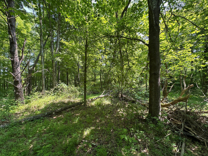Listing Image 121