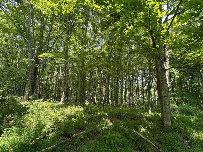 Listing Image 122