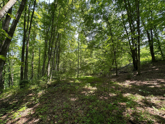 Listing Image 123