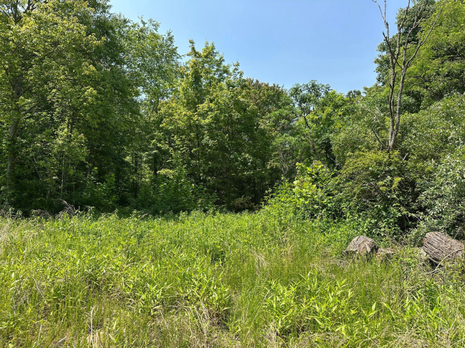 Listing Image 124