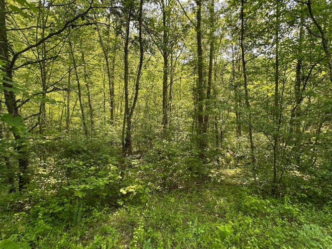 Listing Image 125