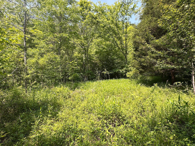 Listing Image 126