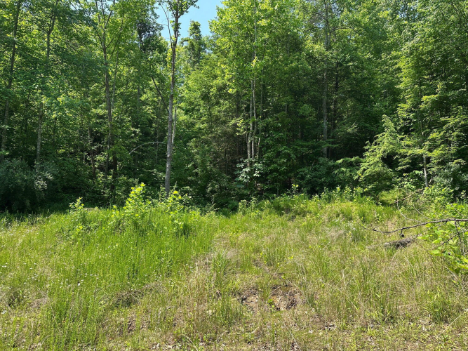 Listing Image 127