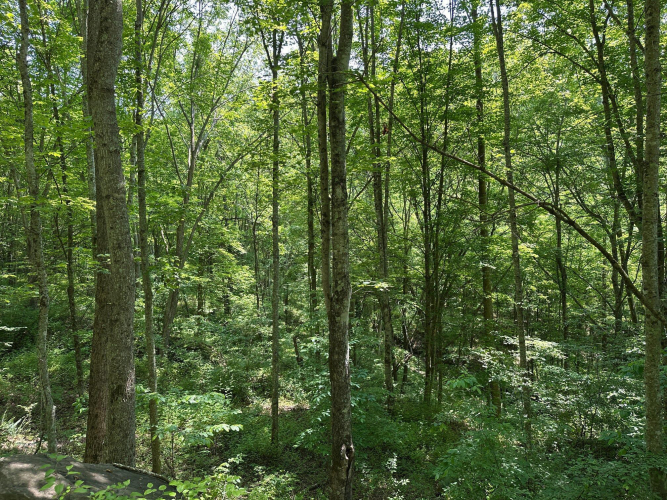 Listing Image 128