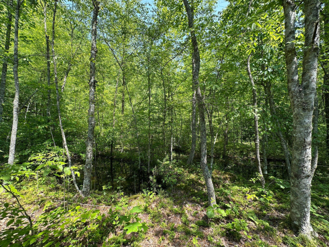 Listing Image 129