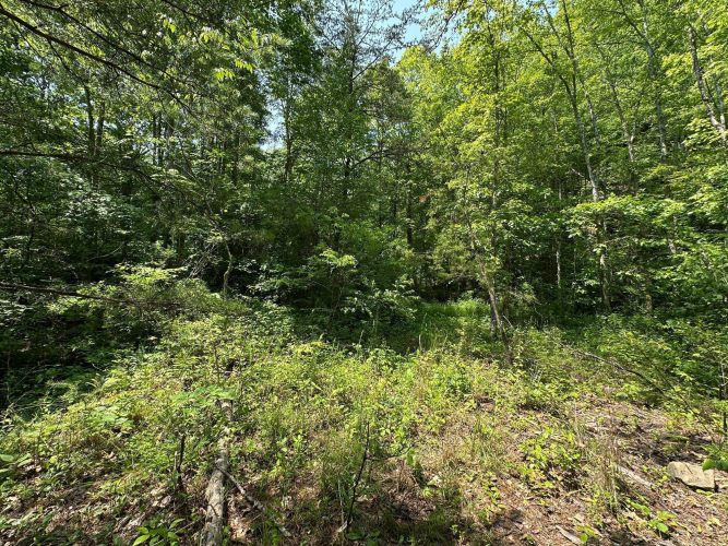Listing Image 130