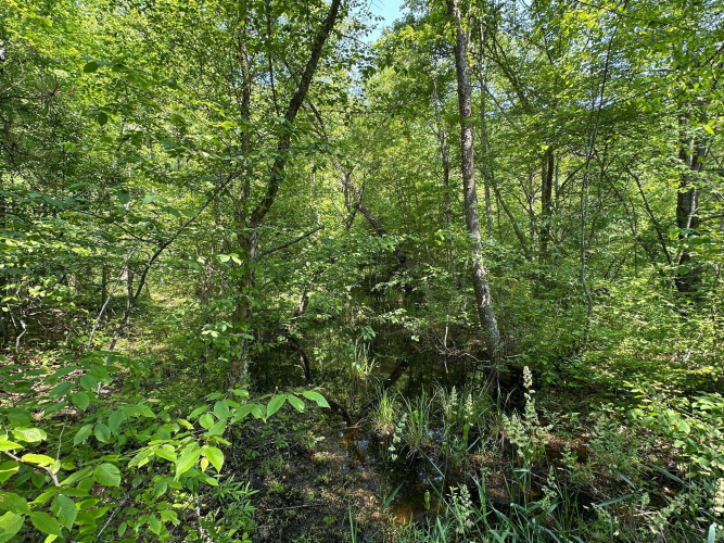 Listing Image 131