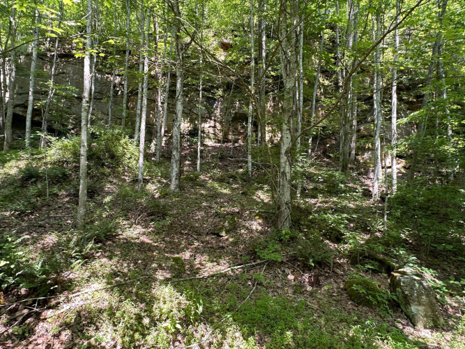 Listing Image 132