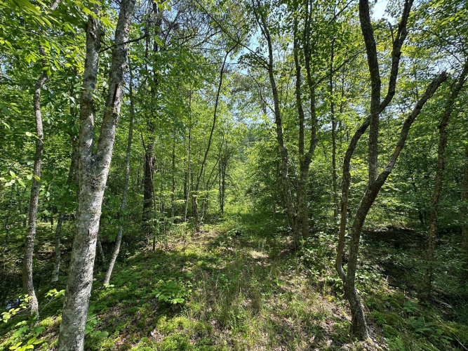 Listing Image 133