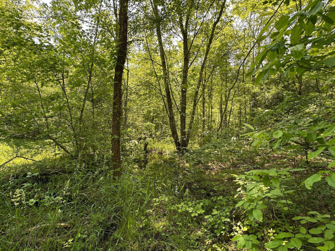 Listing Image 134