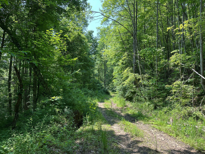 Listing Image 135