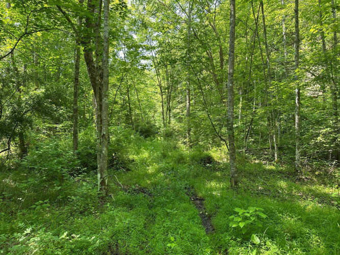 Listing Image 136