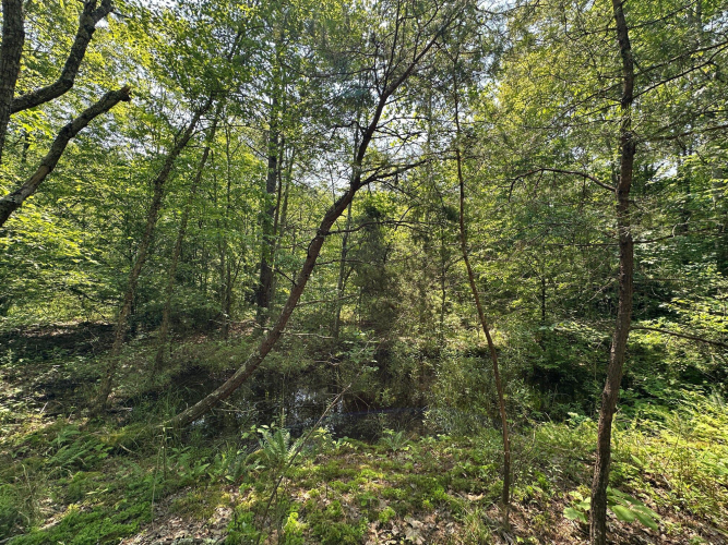 Listing Image 137