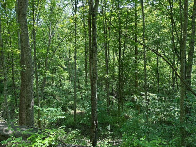 Listing Image 138