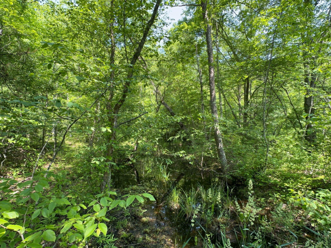 Listing Image 139