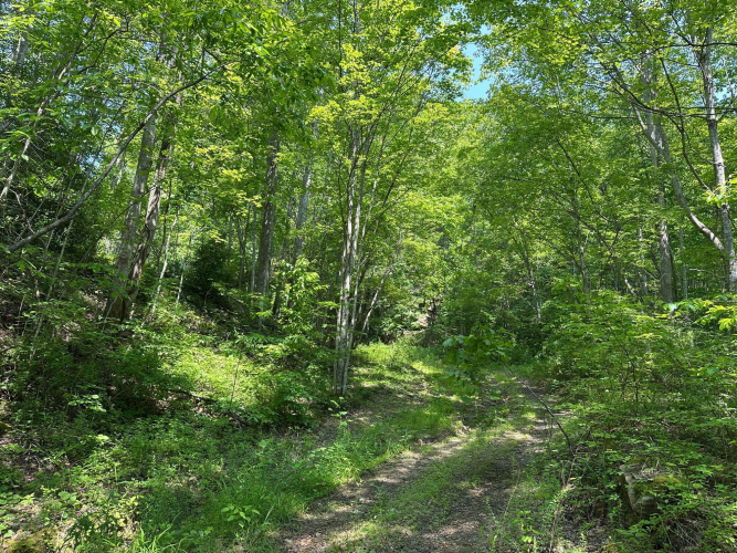 Listing Image 140
