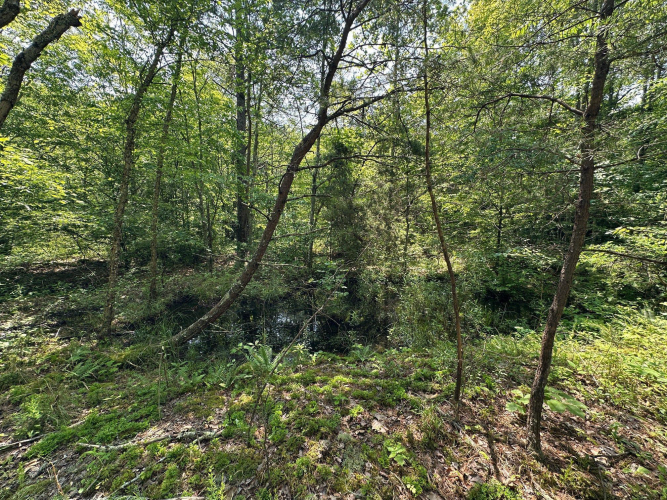 Listing Image 141