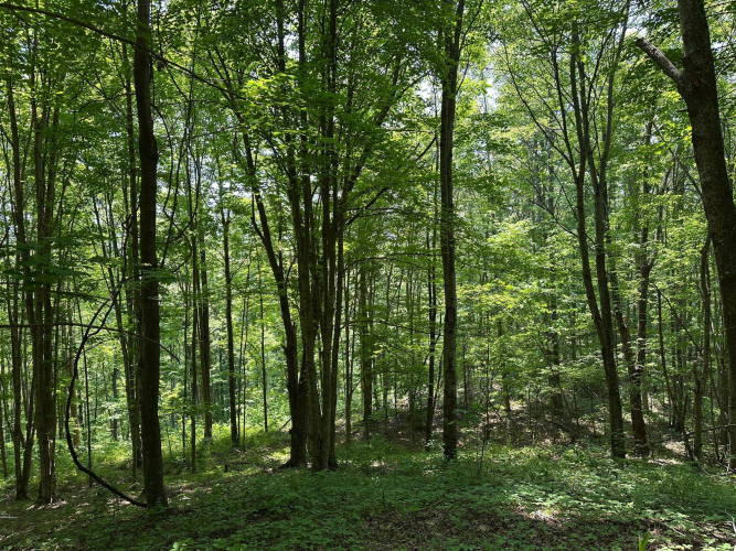 Listing Image 143