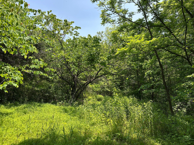 Listing Image 144