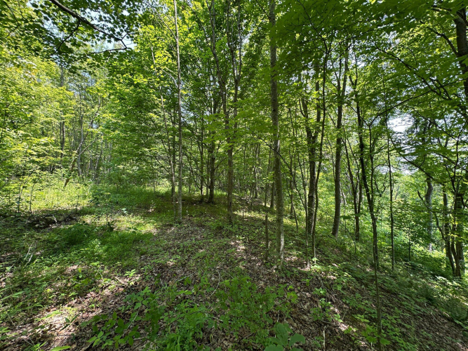 Listing Image 145