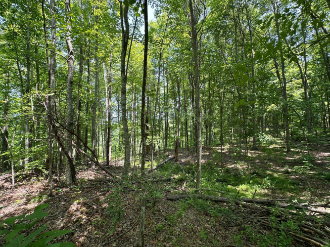 Listing Image 146
