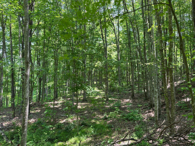 Listing Image 148