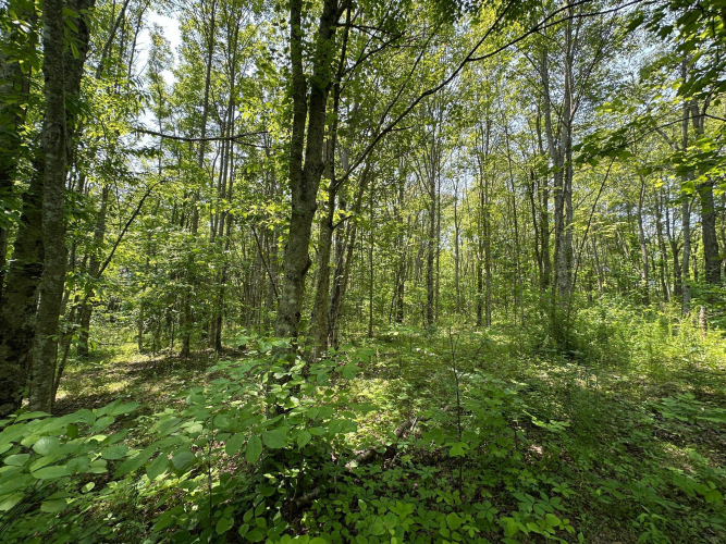 Listing Image 149