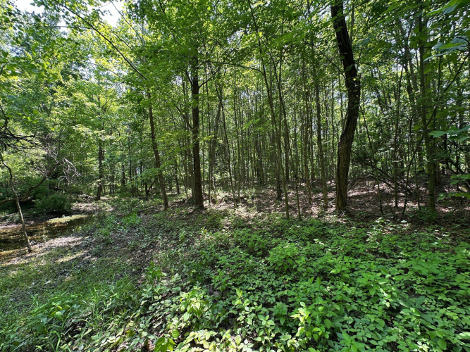 Listing Image 150