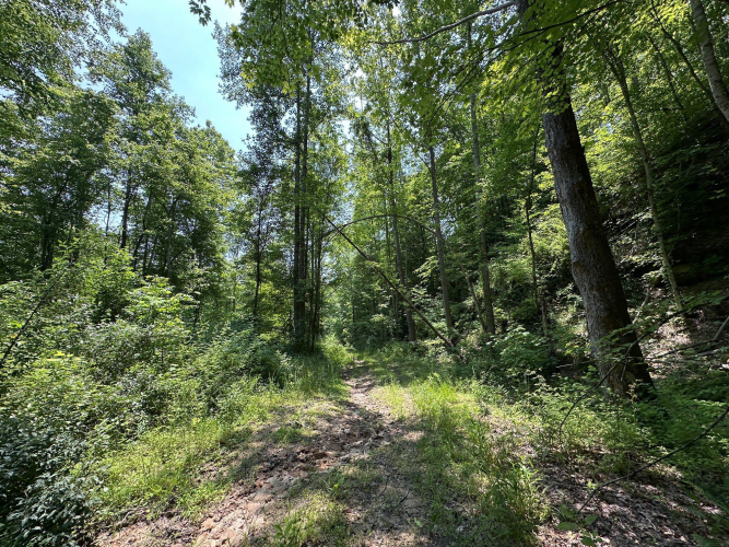 Listing Image 151