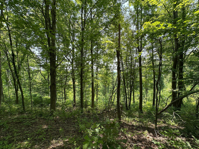 Listing Image 152