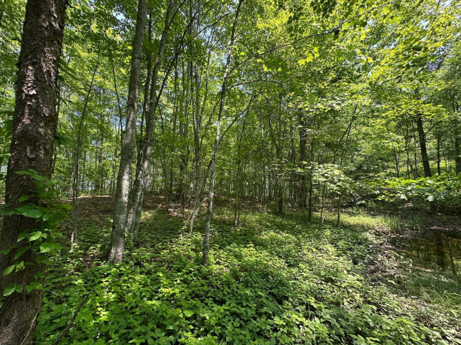 Listing Image 153