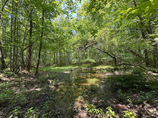 Listing Image 154