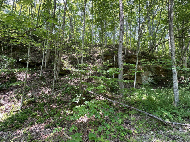 Listing Image 157
