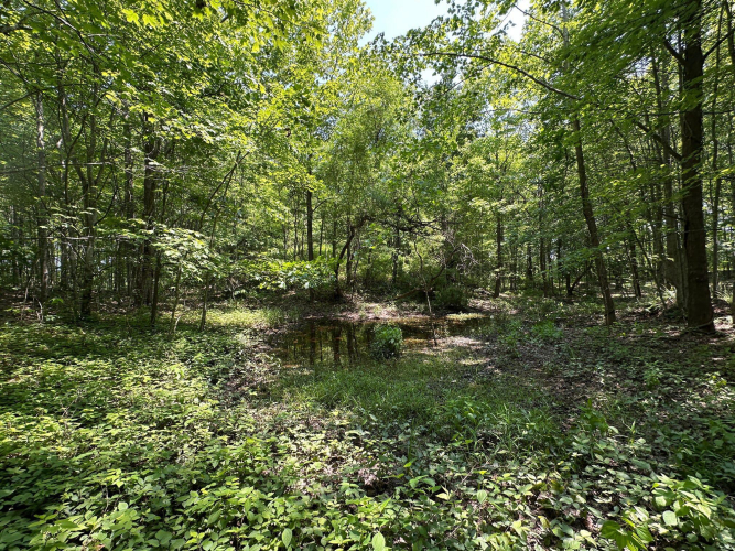 Listing Image 158