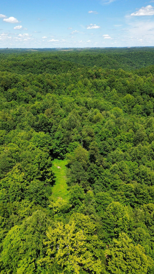 Listing Image 33