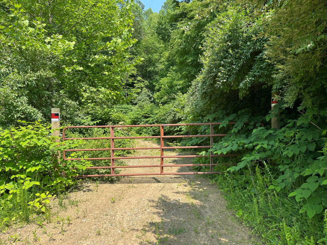 Listing Image 82