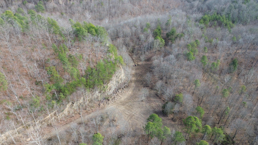 Listing Image 87