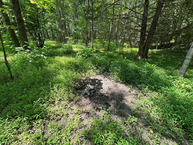 Listing Image 88