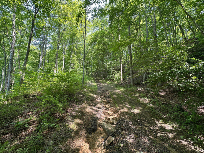 Listing Image 90