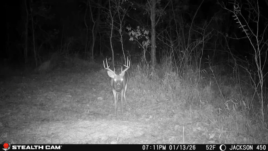 Listing Image 10