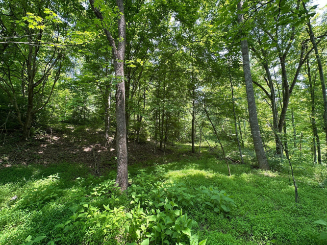 Listing Image 99