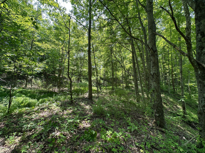 Listing Image 100