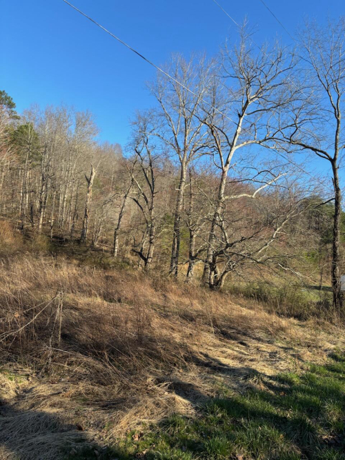 Listing Image 17