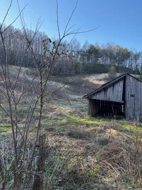 Listing Image 7