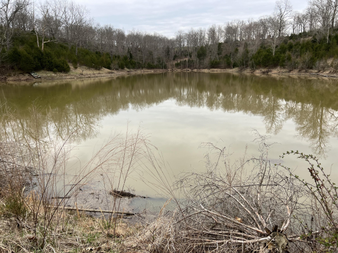 Listing Image 15