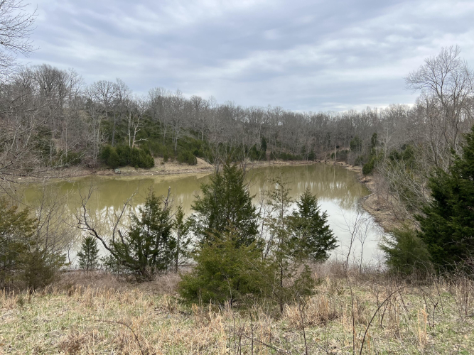 Listing Image 16