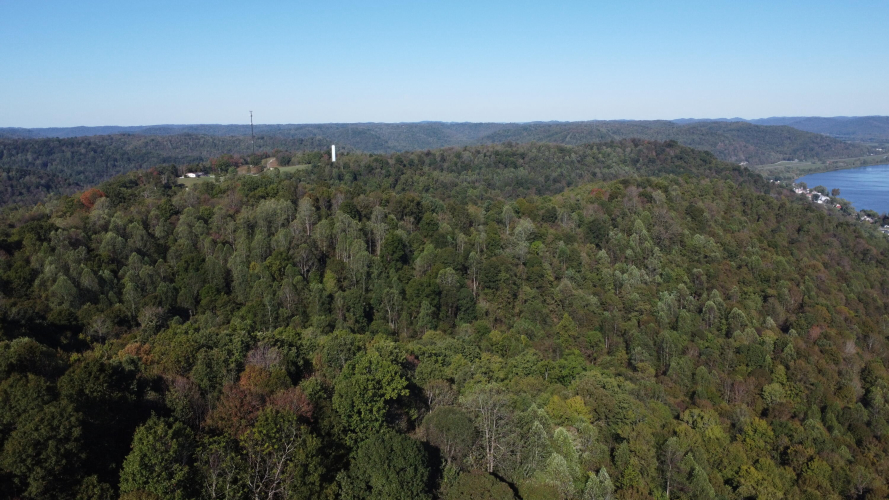 Listing Image 18